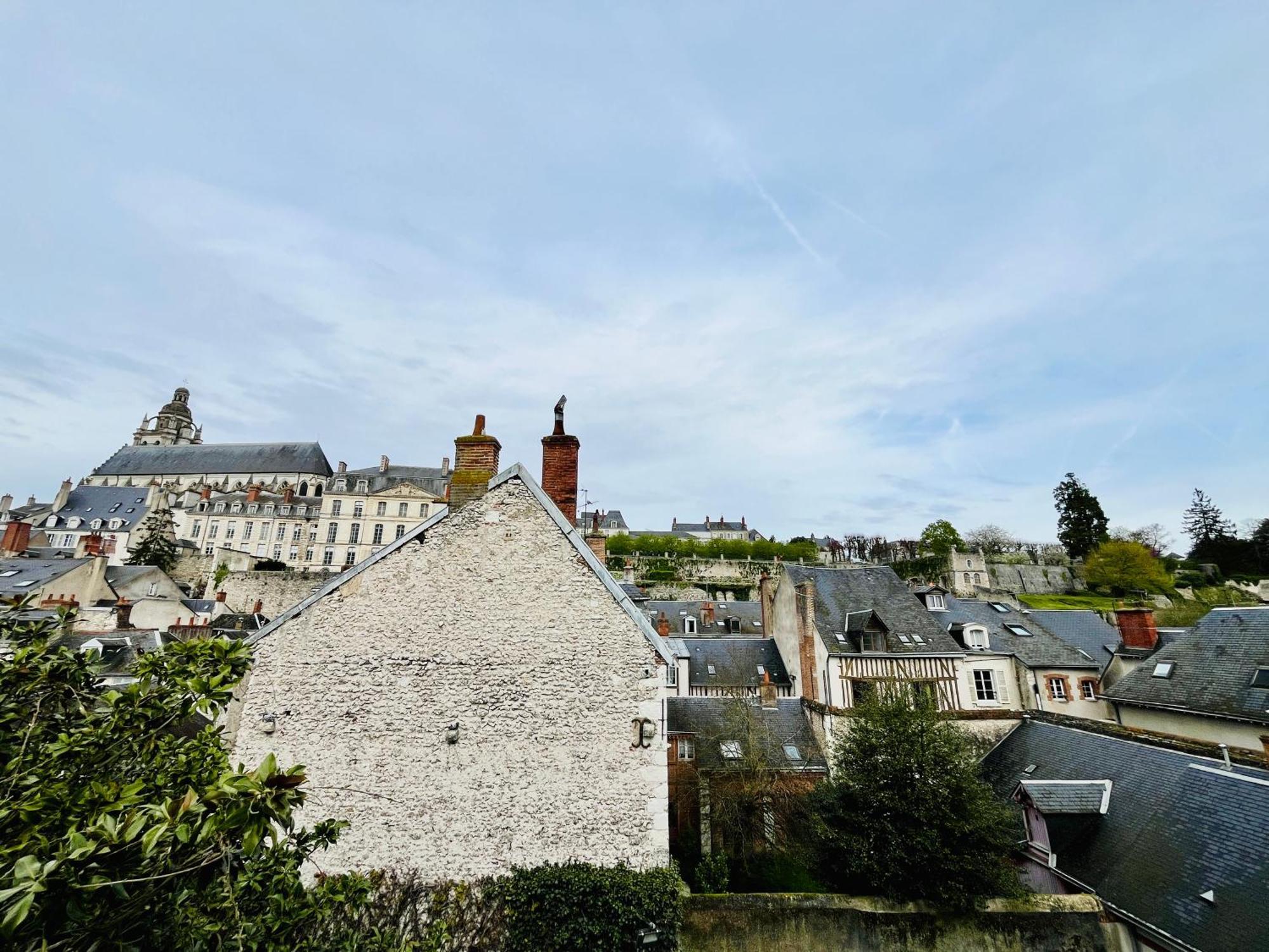 Vue Loire, Hypercentre, Spacieux, Familial, Climatise, Le Quai De Loire Apartment Blois Exterior foto